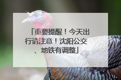 重要提醒！今天出行请注意！沈阳公交、地铁有调整