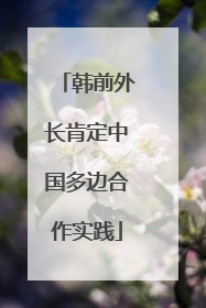 韩前外长肯定中国多边合作实践