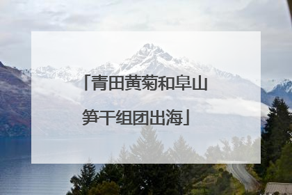 青田黄菊和阜山笋干组团出海