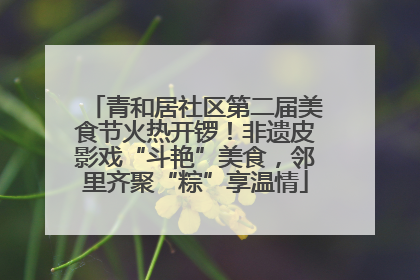 青和居社区第二届美食节火热开锣！非遗皮影戏“斗艳”美食，邻里齐聚“粽”享温情