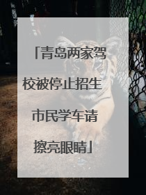 青岛两家驾校被停止招生 市民学车请擦亮眼睛