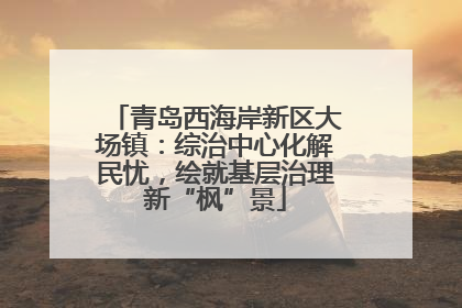 青岛西海岸新区大场镇：综治中心化解民忧，绘就基层治理新“枫”景