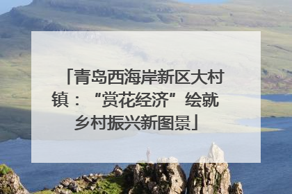 青岛西海岸新区大村镇：“赏花经济”绘就乡村振兴新图景