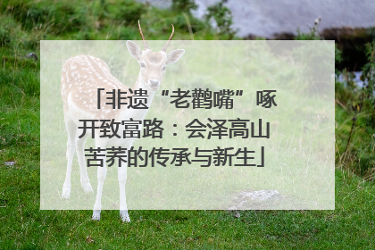 非遗“老鹳嘴”啄开致富路：会泽高山苦荞的传承与新生