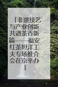 非遗技艺与产业创新共谱茶香新篇——福安红茶坦洋工夫专场推介会在京举办