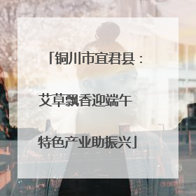 铜川市宜君县：艾草飘香迎端午 特色产业助振兴