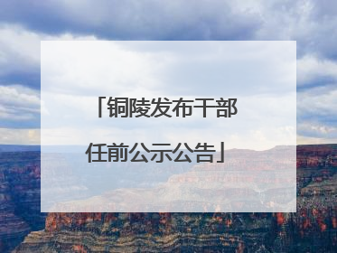 铜陵发布干部任前公示公告