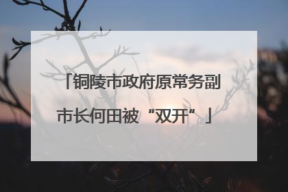 铜陵市政府原常务副市长何田被“双开”