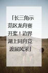 长三角示范区龙舟赛开桨！边界湖上同舟竞渡展风采