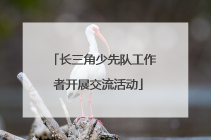 长三角少先队工作者开展交流活动