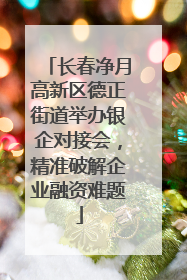 长春净月高新区德正街道举办银企对接会，精准破解企业融资难题