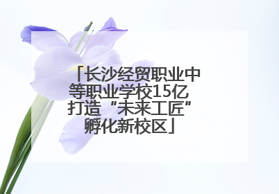 长沙经贸职业中等职业学校15亿打造“未来工匠”孵化新校区