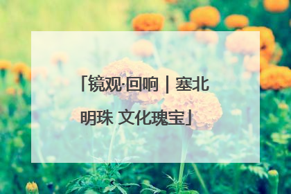 镜观·回响｜塞北明珠 文化瑰宝