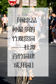 闽北品种最多的竹观赏园——杜潭百竹园建成开园