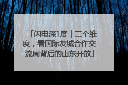 闪电深1度｜三个维度，看国际友城合作交流周背后的山东开放