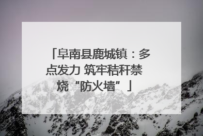 阜南县鹿城镇：多点发力 筑牢秸秆禁烧“防火墙”