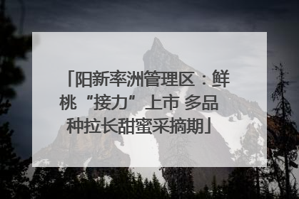 阳新率洲管理区：鲜桃“接力”上市 多品种拉长甜蜜采摘期