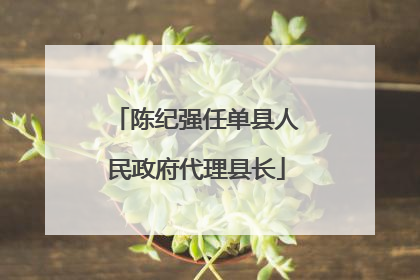 陈纪强任单县人民政府代理县长