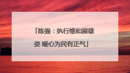 陈强：执行维和展雄姿 暖心为民有正气