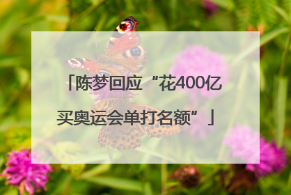 陈梦回应“花400亿买奥运会单打名额”