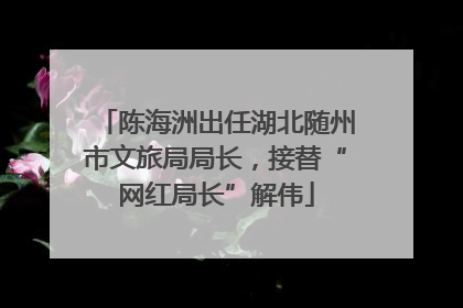 陈海洲出任湖北随州市文旅局局长，接替“网红局长”解伟