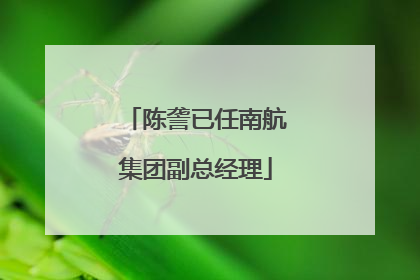陈詟已任南航集团副总经理
