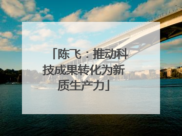 陈飞：推动科技成果转化为新质生产力