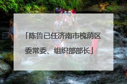 陈鲁已任济南市槐荫区委常委、组织部部长