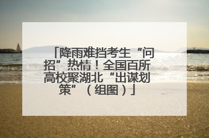 降雨难挡考生“问招”热情！全国百所高校聚湖北“出谋划策”（组图）