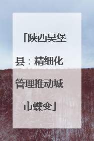 陕西吴堡县：精细化管理推动城市蝶变