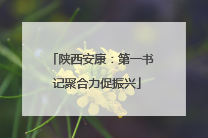 陕西安康：第一书记聚合力促振兴