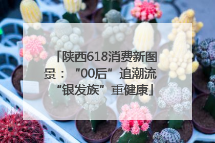 陕西618消费新图景：“00后”追潮流 “银发族”重健康
