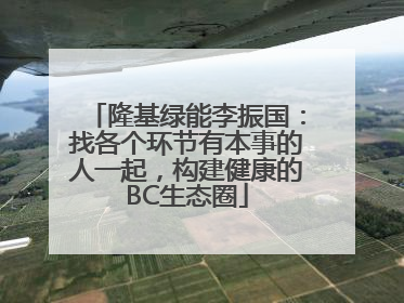 隆基绿能李振国：找各个环节有本事的人一起，构建健康的BC生态圈