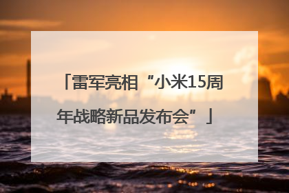 雷军亮相“小米15周年战略新品发布会”
