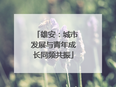 雄安：城市发展与青年成长同频共振