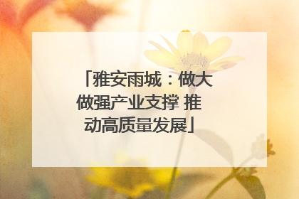 雅安雨城：做大做强产业支撑 推动高质量发展
