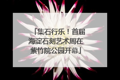 集石行乐！首届海淀石刻艺术周在紫竹院公园开幕