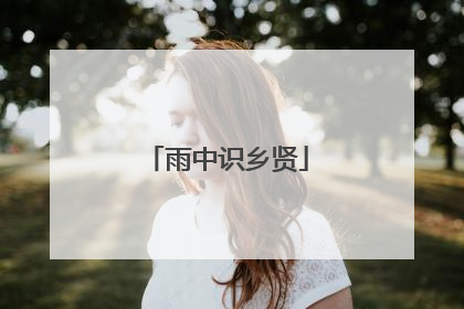 雨中识乡贤