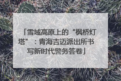 雪域高原上的“枫桥灯塔”：青海吉迈派出所书写新时代警务答卷