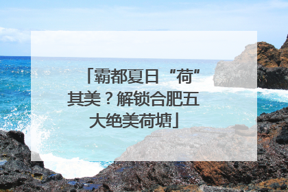 霸都夏日“荷”其美？解锁合肥五大绝美荷塘