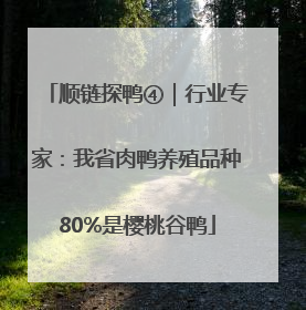 顺链探鸭④｜行业专家：我省肉鸭养殖品种80%是樱桃谷鸭