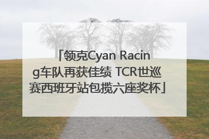 领克Cyan Racing车队再获佳绩 TCR世巡赛西班牙站包揽六座奖杯