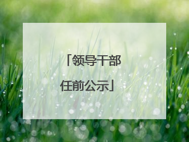 领导干部任前公示
