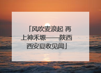 风吹麦浪起 再上神禾塬——陕西西安夏收见闻