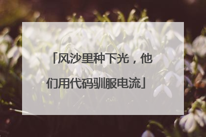 风沙里种下光，他们用代码驯服电流