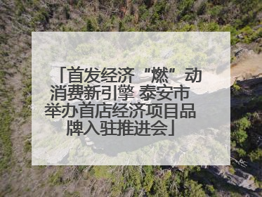 首发经济“燃”动消费新引擎 泰安市举办首店经济项目品牌入驻推进会