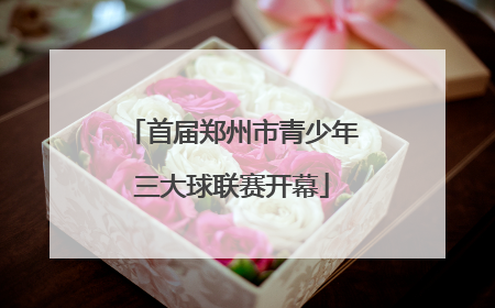 首届郑州市青少年三大球联赛开幕
