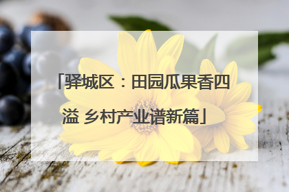 驿城区：田园瓜果香四溢 乡村产业谱新篇