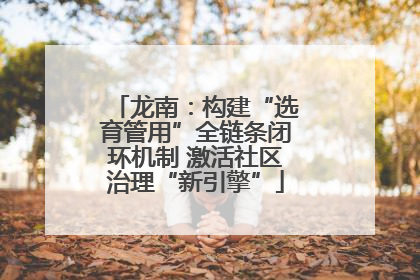 龙南：构建“选育管用”全链条闭环机制 激活社区治理“新引擎”