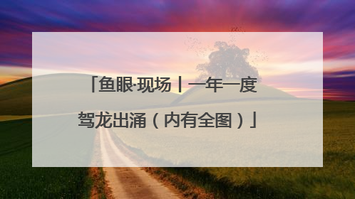 鱼眼·现场丨一年一度 驾龙出涌（内有全图）